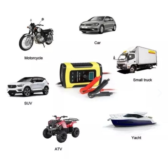 CARGADOR DE BATERIA DE PULSO INTELIGENTE